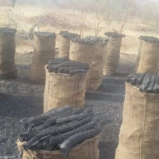 صورة الفحم 1